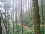 110-1060_IMG.JPG
