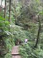 110-1061_IMG.JPG