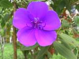 110-1062_IMG.JPG