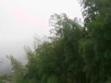 110-1067_IMG.JPG