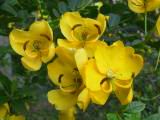 110-1072_IMG.JPG