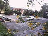 110-1074_IMG.JPG