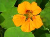 110-1075_IMG.JPG