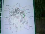 110-1078_IMG.JPG