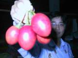 110-1081_IMG.JPG