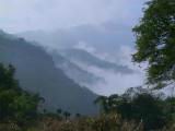 110-1084_IMG.JPG