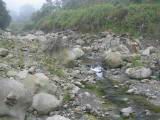 110-1090_IMG.JPG