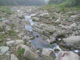 110-1092_IMG.JPG