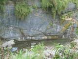 110-1096_IMG.JPG