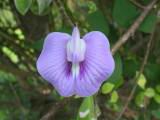 111-1198_IMG.JPG