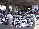 112-1240_IMG.JPG