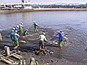 112-1245_IMG.JPG