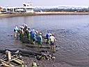 112-1246_IMG.JPG