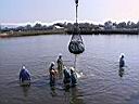 112-1248_IMG.JPG