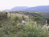 113-1355_IMG.JPG