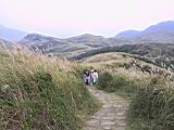 113-1356_IMG.JPG