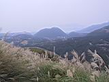 113-1357_IMG.JPG