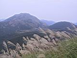 113-1358_IMG.JPG