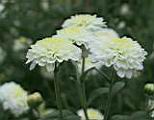 114-1494_IMG.JPG