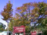 114-1499_IMG.JPG