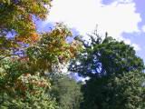 115-1501_IMG.JPG