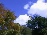 115-1503_IMG.JPG