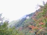 115-1507_IMG.JPG