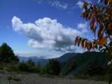 115-1522_IMG.JPG