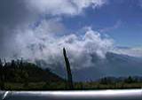 115-1528_IMG.JPG
