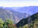 115-1534_IMG.JPG