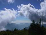 115-1535_IMG.JPG