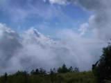 115-1542_IMG.JPG