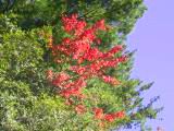 116-1609_IMG.JPG