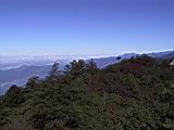 116-1623_IMG.JPG