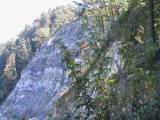 116-1636_IMG.JPG