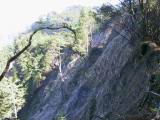 116-1649_IMG.JPG