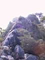 116-1659_IMG.JPG