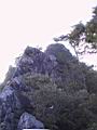 116-1669_IMG.JPG