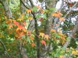 116-1697_IMG.JPG
