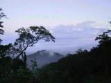 117-1704_IMG.JPG