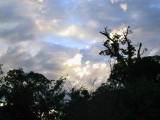 117-1714_IMG.JPG