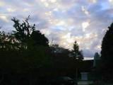 117-1715_IMG.JPG