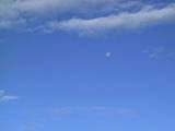 117-1731_IMG.JPG