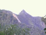 117-1740_IMG.JPG
