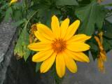 117-1742_IMG.JPG