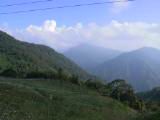117-1762_IMG.JPG