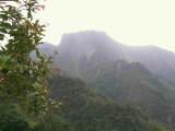 117-1772_IMG.JPG