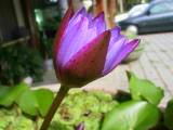 118-1809_IMG.JPG