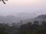 118-1850_IMG.JPG