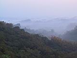118-1860_IMG.JPG